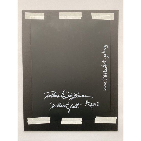 Art Original Brilliant Fall Mixed Media Painting Matted Frame Ready 11x14in - Picture 9 of 9